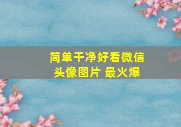 简单干净好看微信头像图片 最火爆